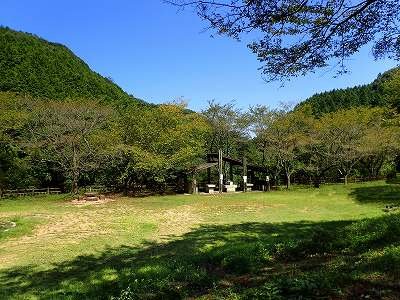 🏕️ 돗토리 연못 녹지・벚꽃 동산 (돗토리이케료쿠치・사쿠라노소노) 이미지 3